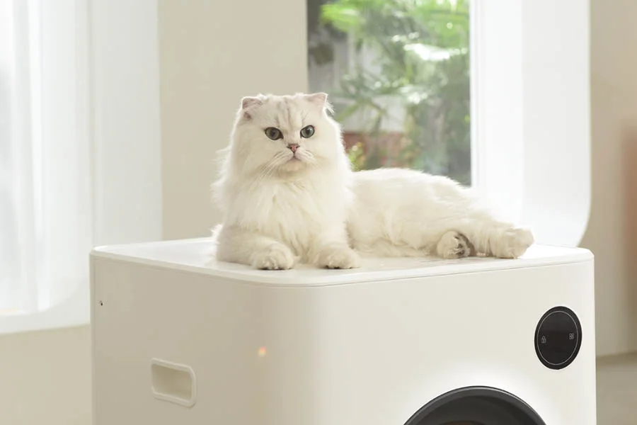 best automatic litter boxes for cats